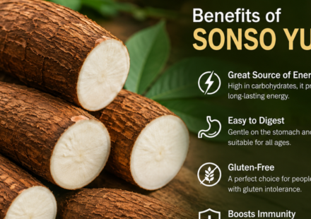 Best Sonso Yuca Near Me