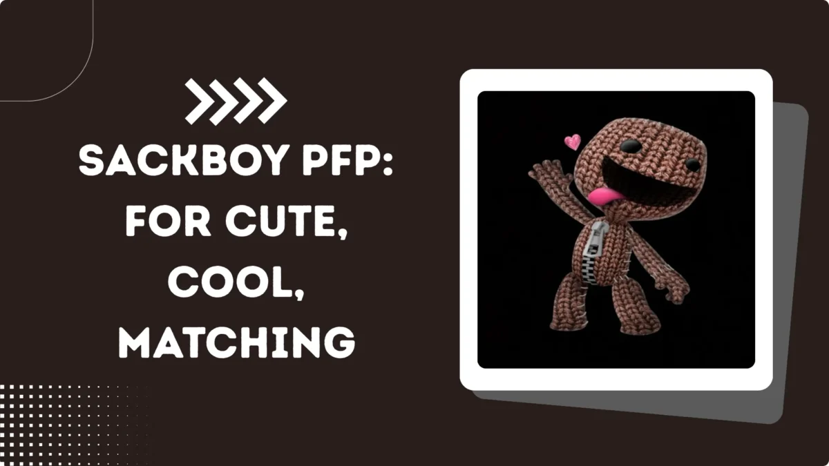 Sackboy PFP